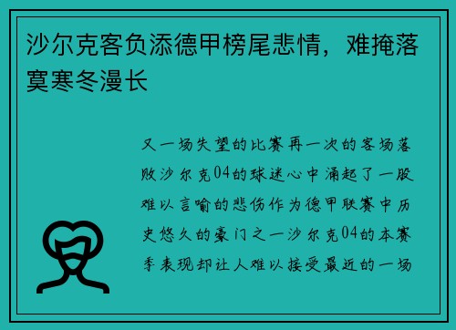 沙尔克客负添德甲榜尾悲情，难掩落寞寒冬漫长